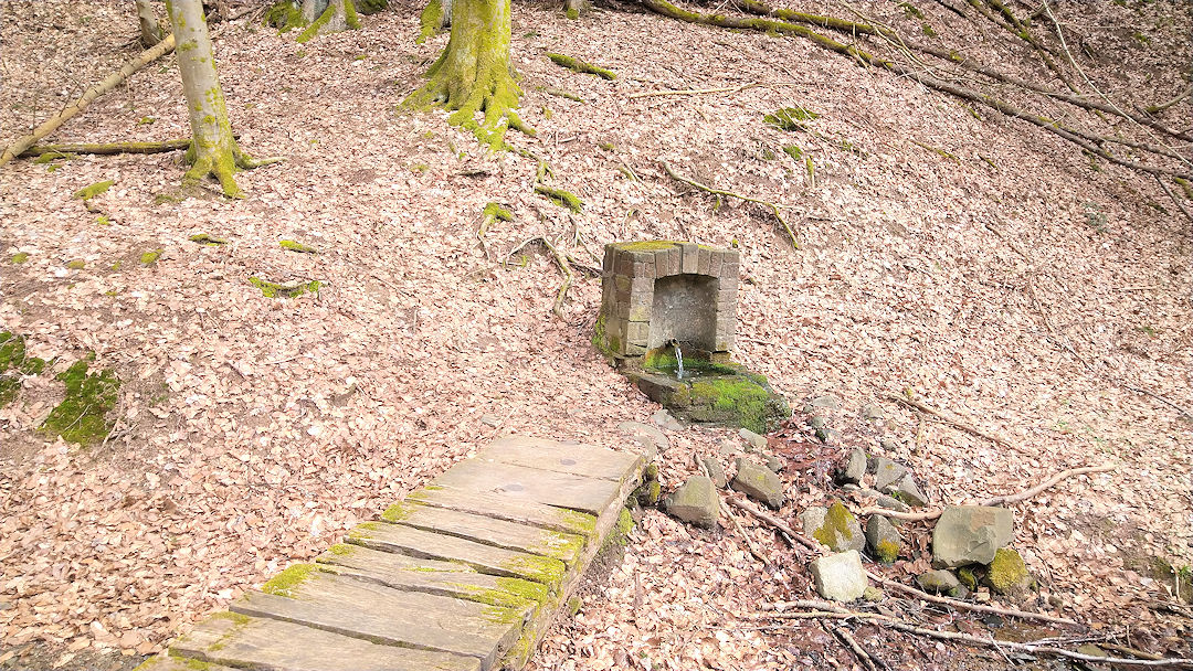 kleiner Spaziergang 2023