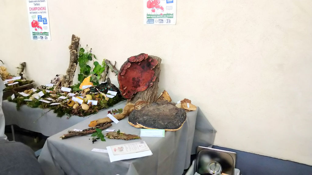 Fête du Mièl à Castelvieilh 2023