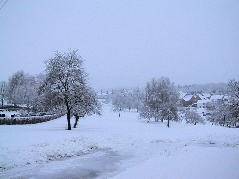 Leitersweiler im Schnee