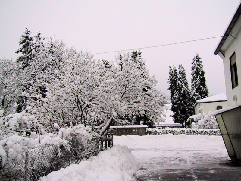 Leitersweiler im Schnee