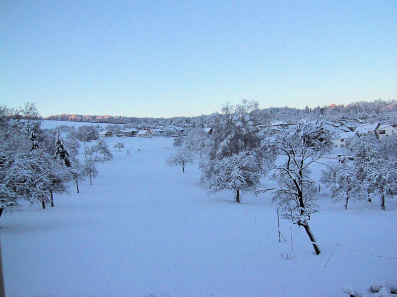 Leitersweiler im Schnee