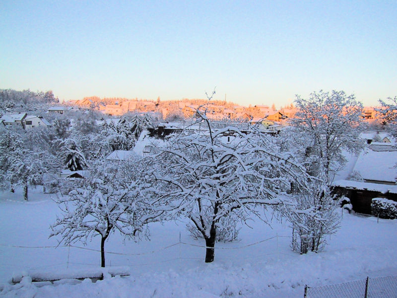Leitersweiler im Schnee