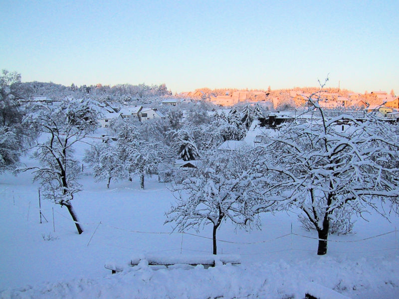 Leitersweiler im Schnee