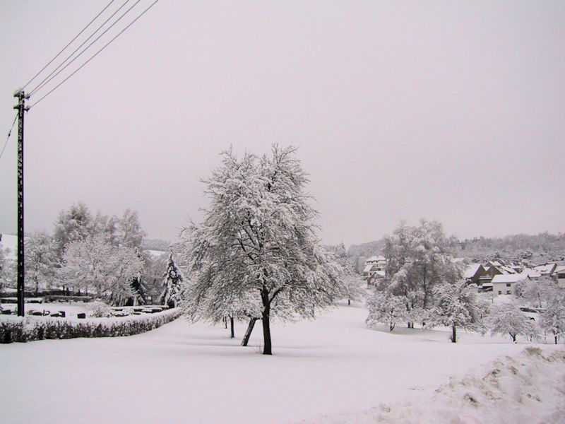 Leitersweiler im Schnee