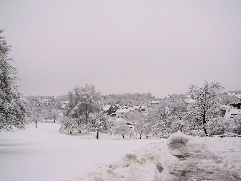 Leitersweiler im Schnee