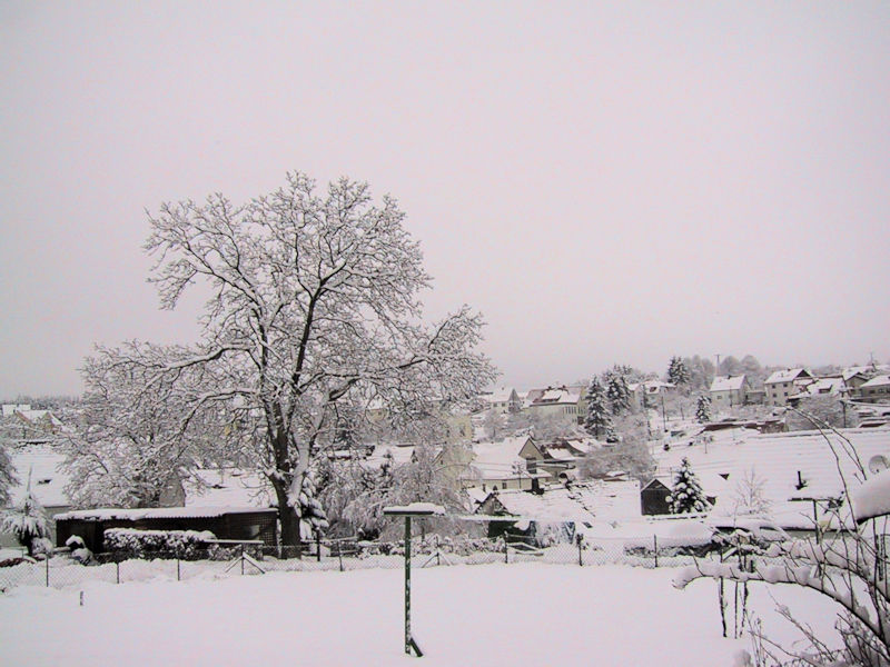 Leitersweiler im Schnee