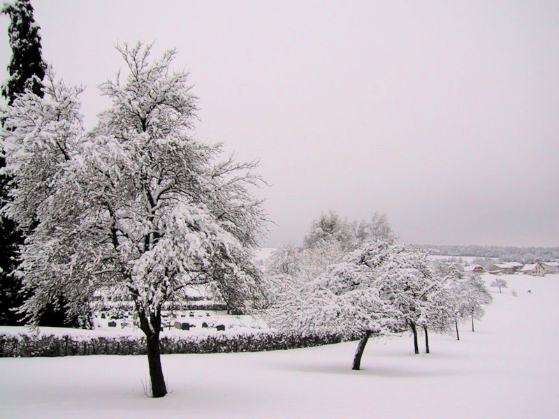 Leitersweiler im Schnee