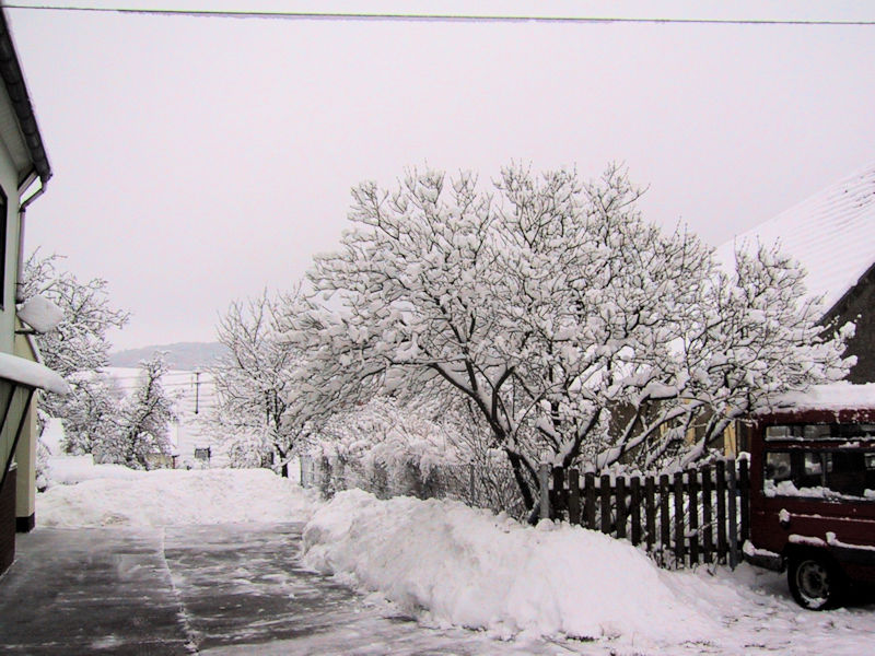 Leitersweiler im Schnee