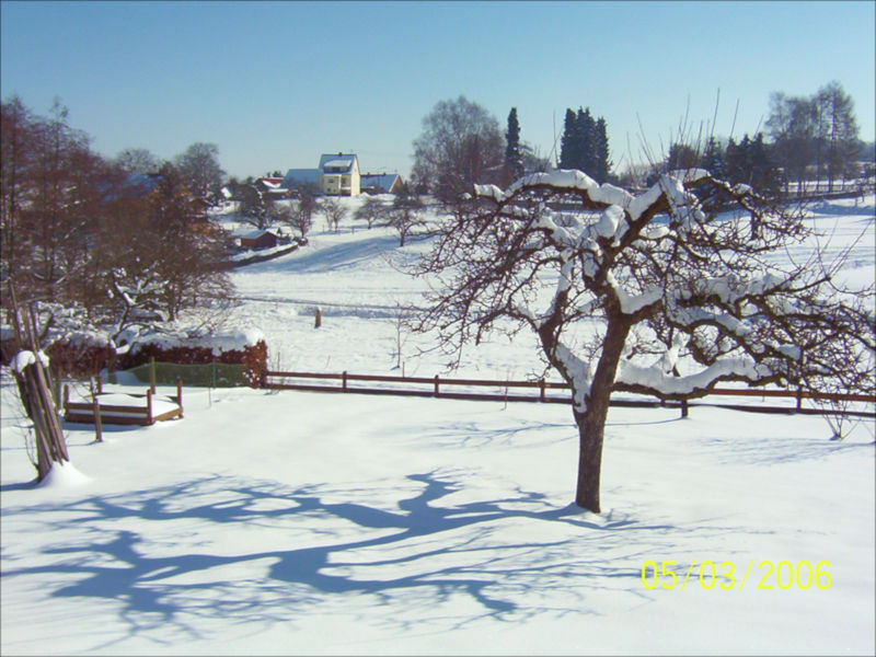 Winterlandschaft März 2006