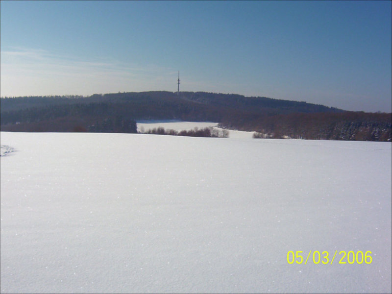 Winterlandschaft März 2006