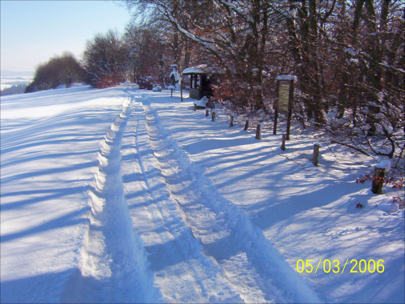 Winterlandschaft März 2006