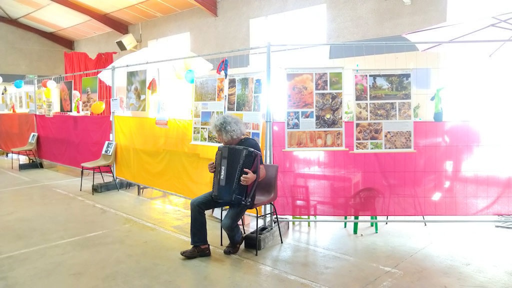 Fête du Mièl à Castelvieilh 2023