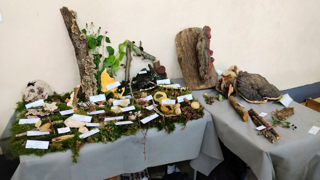 Fête du Mièl à Castelvieilh 2023
