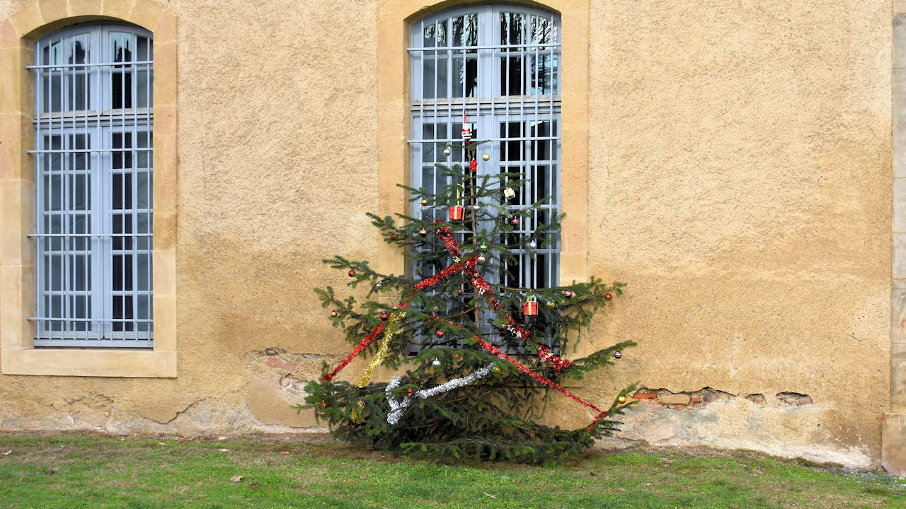 sapin-de-noel